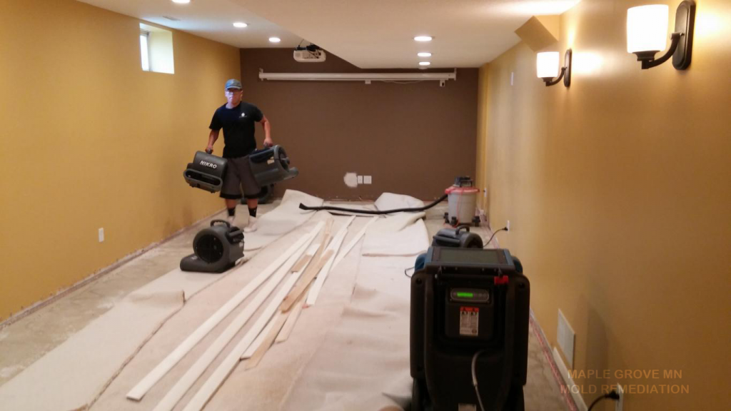 MAPLE GROVE MN MOLD REMEDIATION